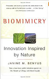 biomimcry
