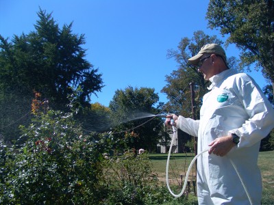 Applying horticultural oil in the Dean Bond Rose Garden. photo credit: R. Robert